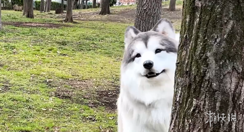 尤文应重用,弗拉霍维奇,提升核心作,乐竞体育官网,APP下载,注册领彩金,官方网站,网站入口